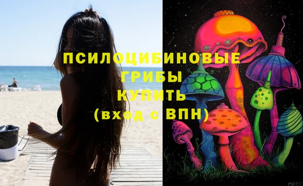 стаф Приозерск