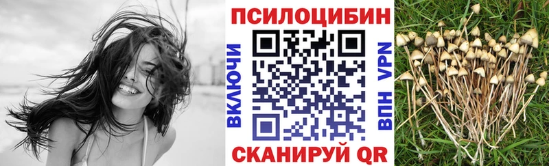 Псилоцибиновые грибы прущие грибы  Жирновск 